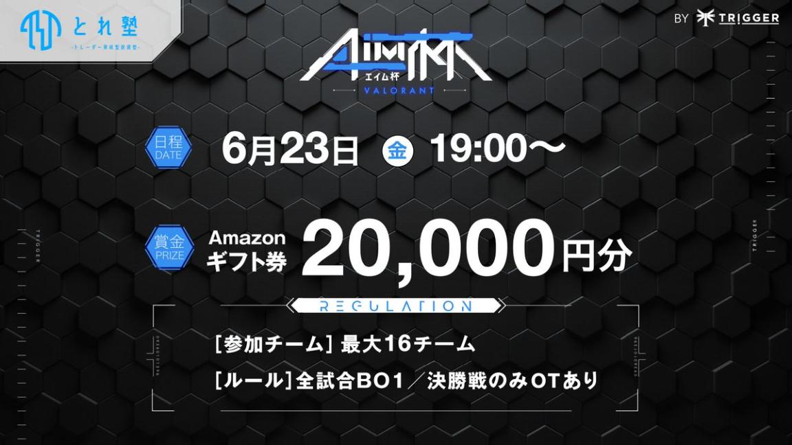 AIM杯vol.19